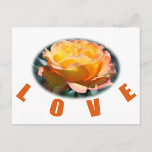 Carte Postale belle rose jaune fleur photo art