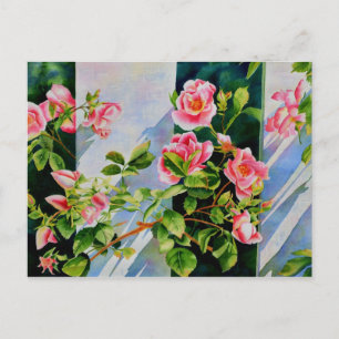 Carte Postale Belle rose rose rouge roses blanc aquarelle floral