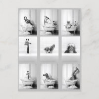 Belle salle de bain Animaux dans Baignoire