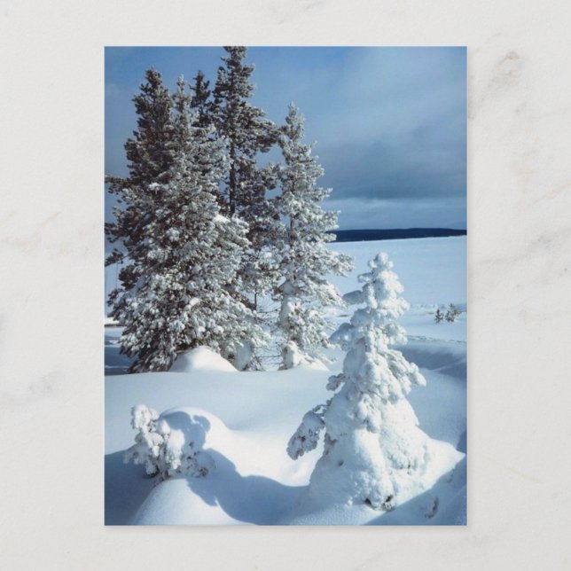 Carte Postale Belle scène d'hiver (Devant)