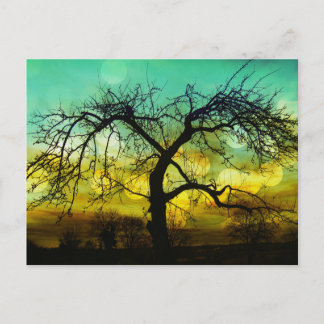 Carte Postale Belle silhouette d'arbre au coucher du soleil Ombr