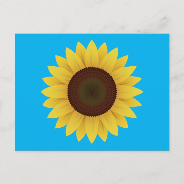 Carte Postale Belle tournesol d'été (Devant)