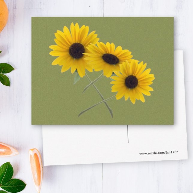 Carte Postale Belle Tournesol Triple Photographie Sur Vert (three sunflower photo front and blank back postcard)