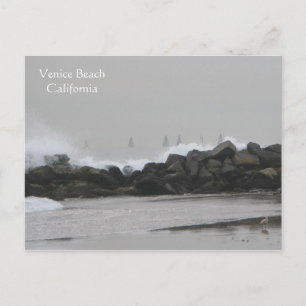 Carte Postale Belle Venice Beach Postacard !