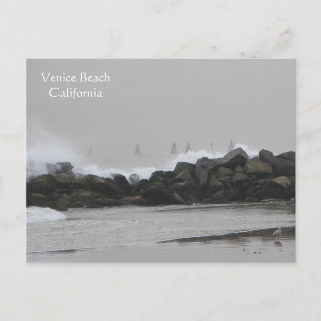Carte Postale Belle Venice Beach Postacard ! (Devant)