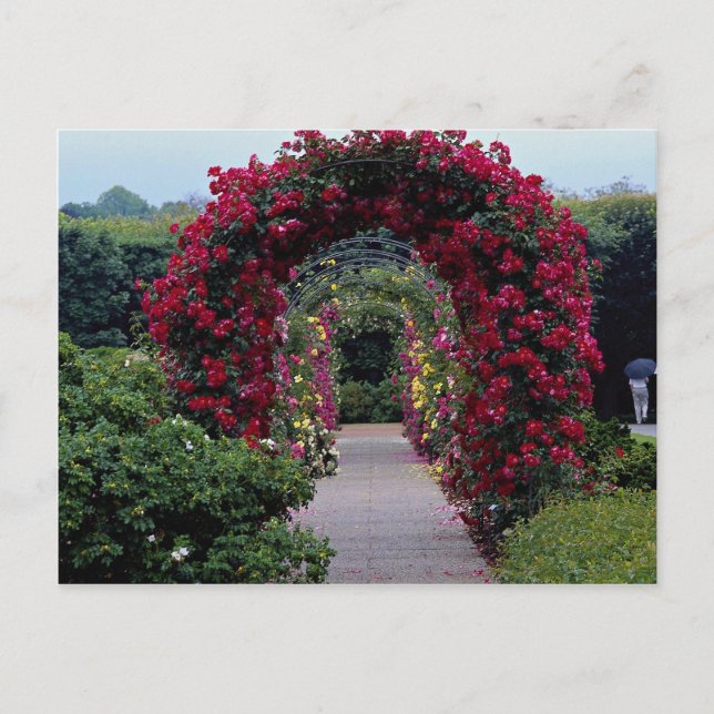 Carte Postale Belles arches Roses Escalades (Devant)