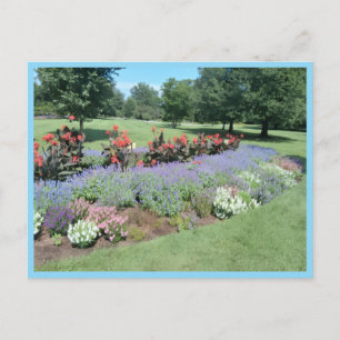 Carte Postale Belles Expressions : Jardin