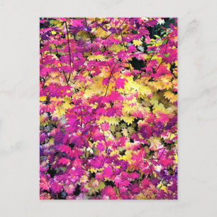 Carte Postale Belles feuilles d'automne