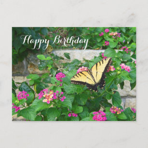 Cartes Postales Joyeux Anniversaire Papillon Originales Zazzle Fr