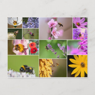 Carte Postale Belles fleurs pour les sensations de printemps et 