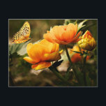 Carte Postale Belles pivoines et papillons<br><div class="desc">Belles pivoines et carte postale papillon</div>