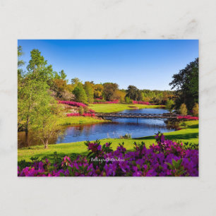 Carte Postale Bellingrath Gardens, Alabama,