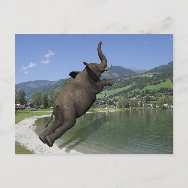 Carte Postale Belly Flop Elephant (Devant)