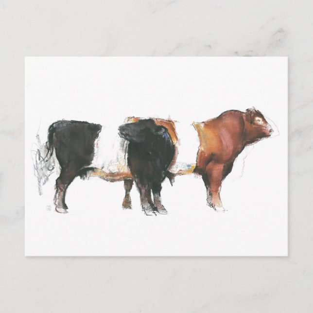 Carte Postale Belties 2006 (Devant)