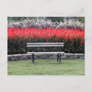 Carte Postale Bench Red Floral Photo