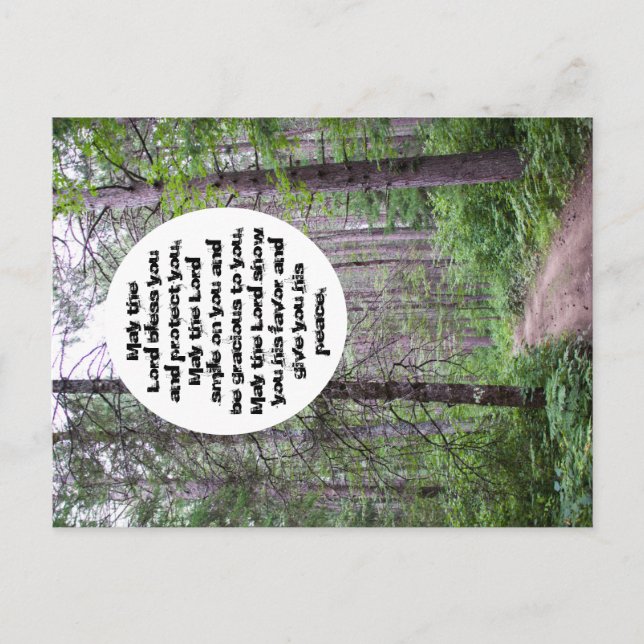 Carte Postale Bénédiction de North Woods (Devant)