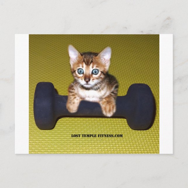Carte Postale Bental Kitten avec Dumbbell jaune (Devant)