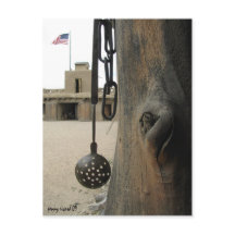 Carte postale Bents Old Fort