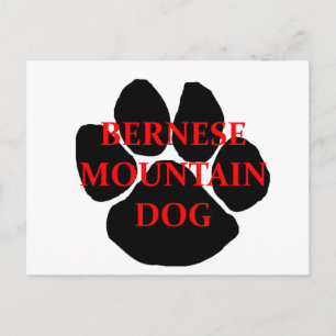 Carte Postale ber mt nom de chien patte.png