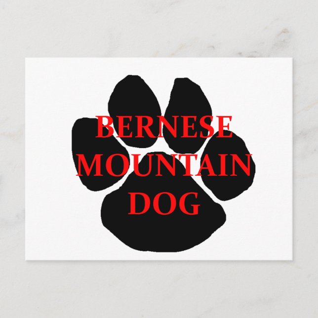 Carte Postale ber mt nom de chien  patte.png (Devant)