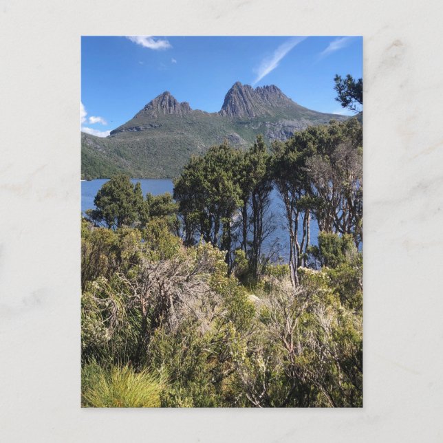 Carte Postale berceau (Devant)
