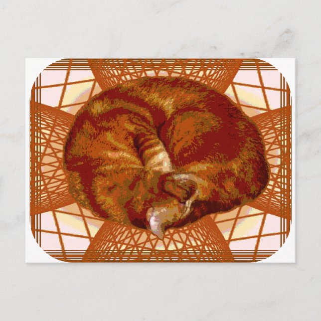 Carte Postale Berceau de chat (Devant)