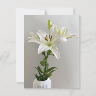 Carte Postale Berceuse de lys Peinture florale simple blanche