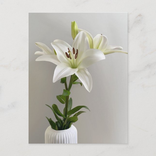 Carte Postale Berceuse de Lys | Peinture florale simple blanche (Devant)