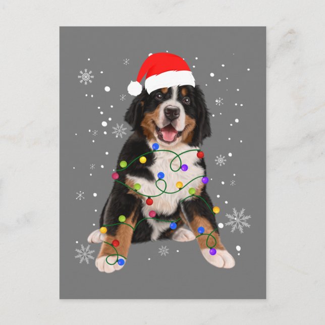 Carte Postale Berese Mountain Dog Lights Christmas Matching Fam (Devant)