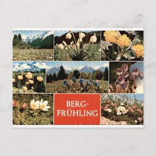 Carte Postale Berg Frühling Vintage Fleurs Alpines Multivue