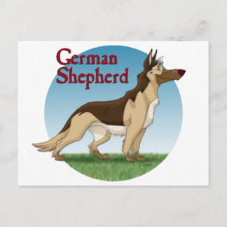 Carte Postale Berger Allemand
