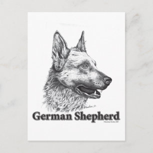 Carte Postale Berger allemand