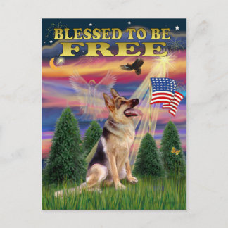 Carte Postale Berger allemand #1