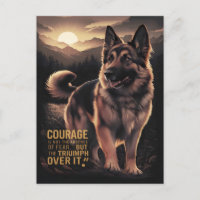 Berger Allemand Aube Courage