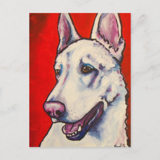 Carte Postale Berger allemand - Blanc