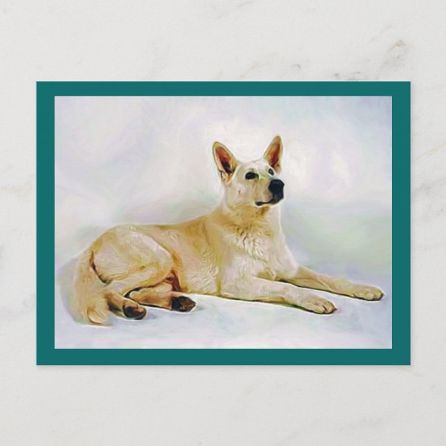 Carte Postale Berger allemand blanc (Devant)