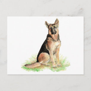 Carte Postale Berger Allemand, Chien, Animal de compagnie, Anima