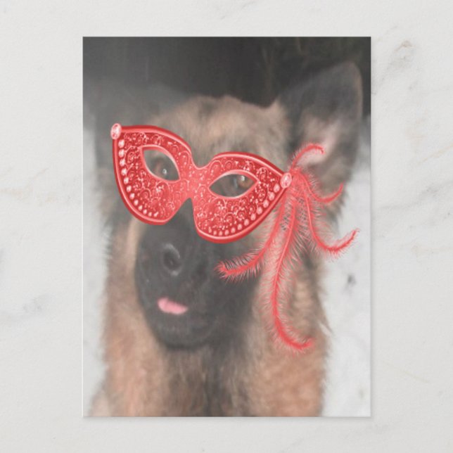 Carte postale Berger allemand Mardi Gras Masque ro (Devant)