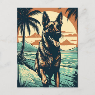 Carte Postale berger allemand sur une plage tropicale au coucher