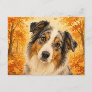 Carte Postale Berger Australien Automne Forêt Chien