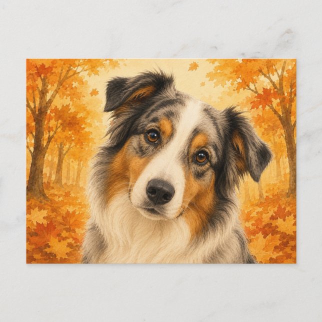 Carte Postale Berger Australien Automne Forêt Chien (Devant)