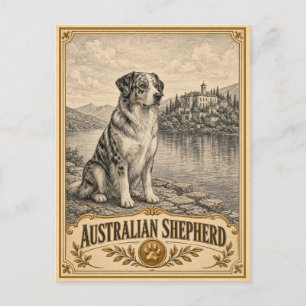 Carte Postale Berger Australien, Chien du Patrimoine Vintage
