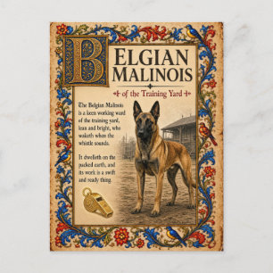 Carte Postale Berger belge Malinois, Art du bestiaire médiéval