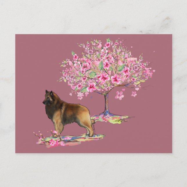 Carte Postale Berger belge Tervuren (Devant)