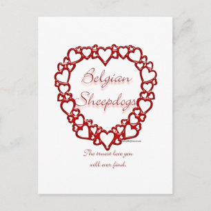 Carte Postale Berger belge Véritable Amour