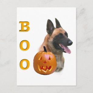 Carte Postale Berger Malinois Boo