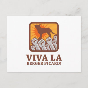 Carte Postale Berger Picard