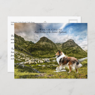 Carte Postale Berger Sable Rough Collie - Collectif