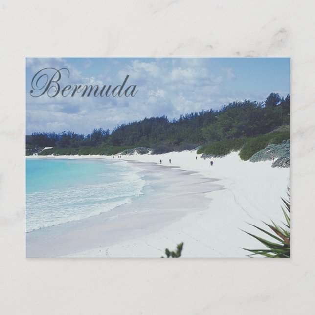 Carte Postale Bermuda (Devant)