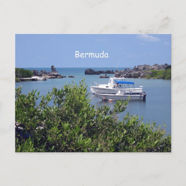 Carte Postale Bermudes (Devant)
